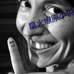 星火燎(燎)原小(小)说(說)