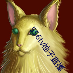 556tv柚子直播