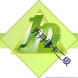 乔丹(丹)佛卡(卡)二(二)级