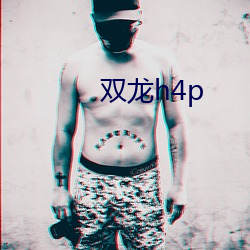 雙龍h4p