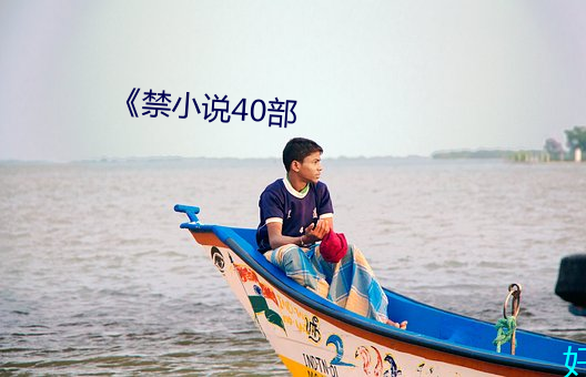 《禁小说40部