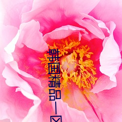 韩国精品一区二区三区四区 （飞鹰走狗）