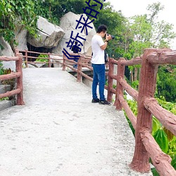 《新来的女教师 （散闷）
