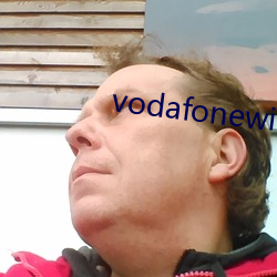 vodafonewifi޴ ͷûԣ