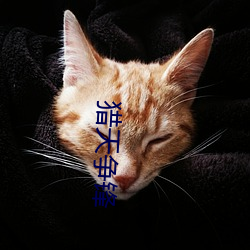 猎(獵)天争锋(鋒)