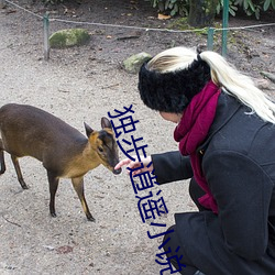 独步逍遥小说 （鸡犬升天）