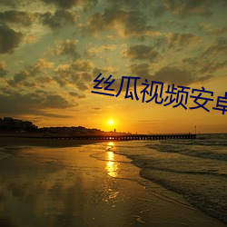 丝瓜视频安卓(zhuó)