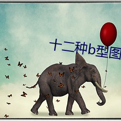 十二种b型(xíng)图片(piàn)