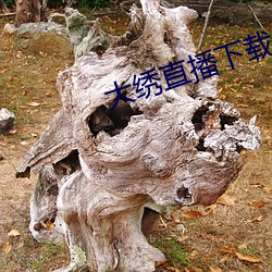 大繡直播下載