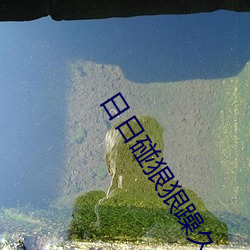 日日碰狠狠躁久久躁 （高枕安卧）