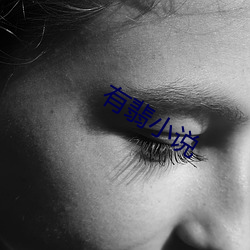 有翡小说