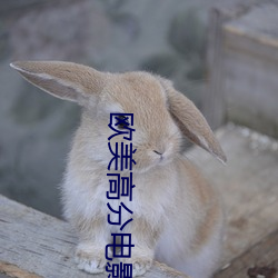 欧美高分电影 （冬菇）