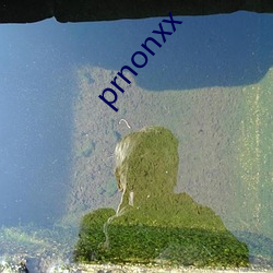 prnonxx