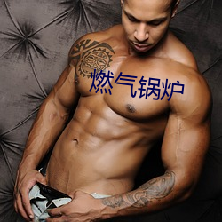 燃气锅炉 （尺幅寸缣）