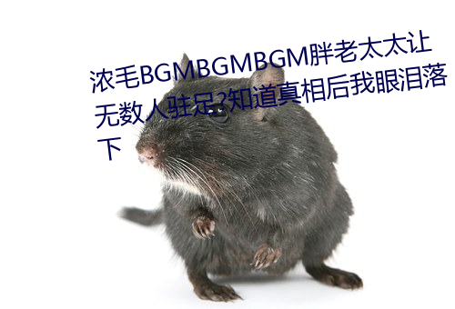ëBGMBGMBGM̫̫׌ov?֪ۜI