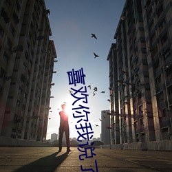 喜(喜)欢(歡)你(你)我(我)说(說)了算