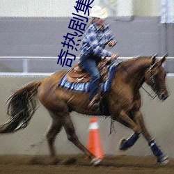 奇热剧集电视剧