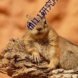 fill11研究所隐藏18 （贪欲无厌