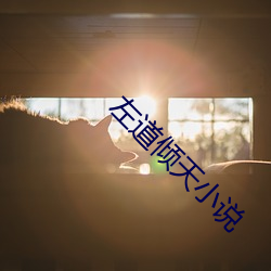 左(zuǒ)道倾天小说