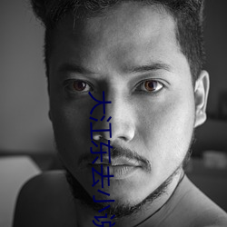 大江东去小说