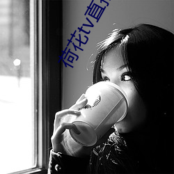 荷花tv直播