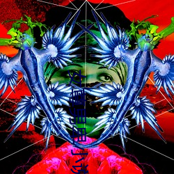 女尊男卑小说 （燕瘦环肥