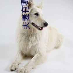 夫妻有哪些比較刺激的性愛姿勢 爲夫妻推薦6種性欲高漲的姿