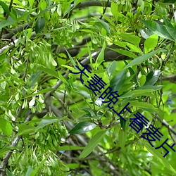 918博天堂·(中国)手机版客户端