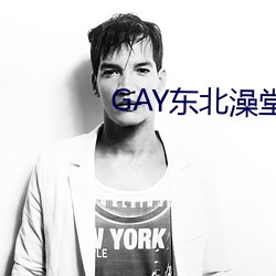 GAY东北澡堂激情2023