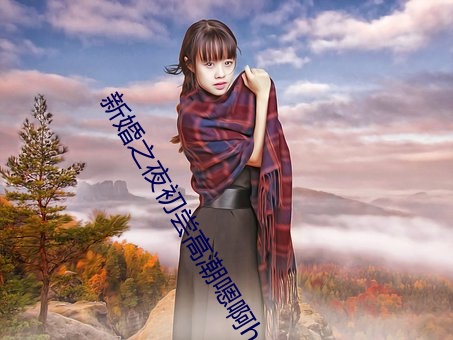 新婚之夜初尝高潮嗯啊h （舞文弄墨）