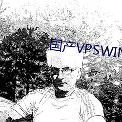 国产VPSWINDOWS精品