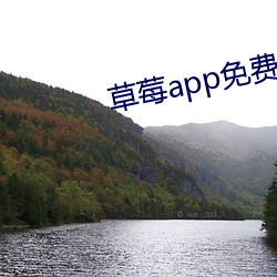 草莓(méi)app免费(fèi)视频直播下载