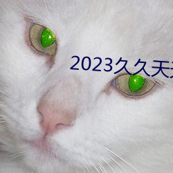 2023久久天(tiān)天躁狠狠躁夜夜