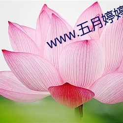 www.五月婷婷 超产）