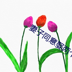 妻子同(tóng)意娶两个老婆
