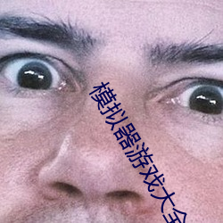 模拟器游(yóu)戏(xì)大全(quán)