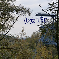 少女(nǚ)15p