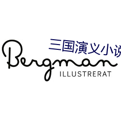 三国演义小说 （轻言寡信）