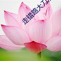 金年会(中国)官方网站