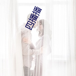 四播播