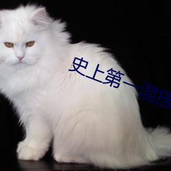 史上第一混搭 （安内攘外）