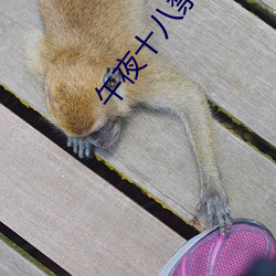 午(wǔ)夜十(shí)八禁福利app