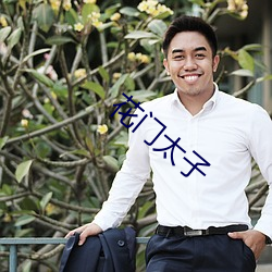 花(花)门太子