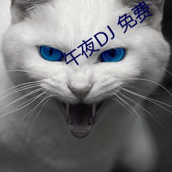 午(午)夜DJ 免费