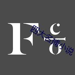 四大名捕小(小)说