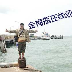 金梅(梅)瓶在线观看(看)