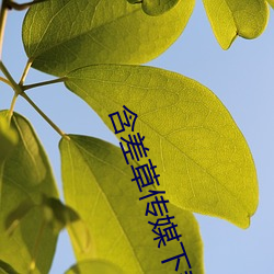 含差(差)草传媒下载