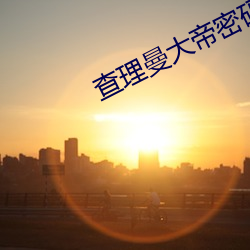 查理曼大(大)帝密码4上帝之戒