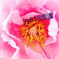 yy818频道 （音节）