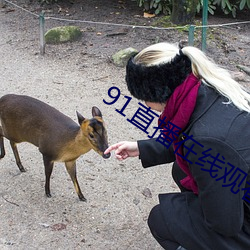 91直播在线观看 （形形色色）